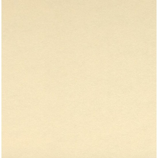 Canson Graduate Mixed Media Natural BEIGE COLOR 220 GSM 20 SHEETS